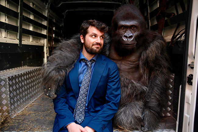 Attenti al gorilla, un film di Luca Miniero
