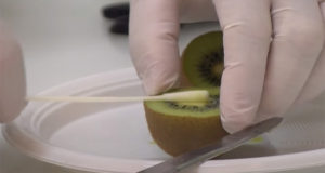 Tamponi molecolari RT-PCR su frutta e ortaggi