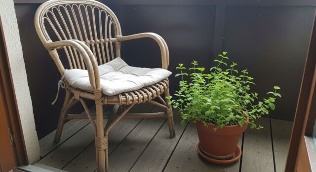 Sedia in rattan con cuscino bianco e vaso di menta su balcone con pavimento in legno