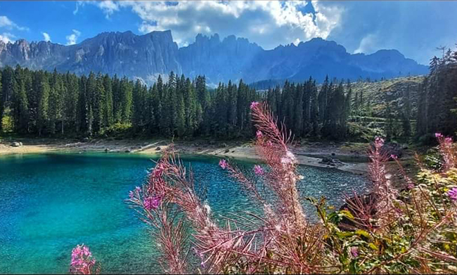 Dolomiti