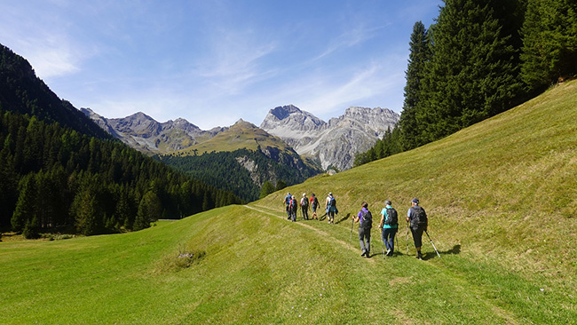 Camminare tra la natura