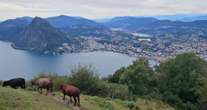 Lugano