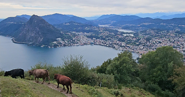 Lugano