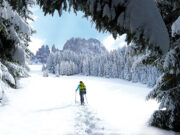 Vivere le Dolomiti in armonia con la natura: avventure sulla neve a passo lento con le escursioni Avventure sulla neve nelle Dolomiti