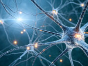 Neuroplasticità: come allenare il cervello per una vita più felice e appagante Come allenare il cervello per migliorare la vita.