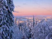 La magia bianca del Nord: un viaggio in Lapponia Viaggi in Lapponia