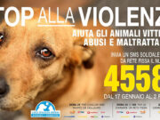 LEIDAA: fino al 2 Febbraio invia un sms solidale per aiutare il recupero degli animali vittime di gravi abusi e maltrattamenti