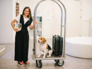 In vacanza con il migliore amico… peloso Vacanze con l'animale domestico