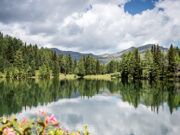 Bressanone, Alto Adige: bosco per tutti i sensi