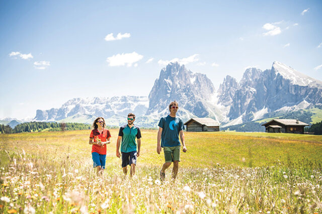 Dolomiti