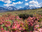 Le novità a Mammoth Lakes per la primavera e l’estate 2025
