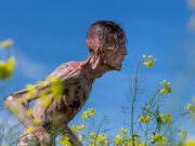 28 anni dopo: il ritorno degli zomBoyle