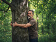Silvoterapia: quando abbracciare un albero fa bene al corpo e alla mente Silvoterapia: abbracciare un albero