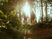 L’autunno d’oro della Val d’Ega