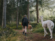 Esperienze bestiali in Tirolo