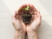 Vivere meglio con meno: guida pratica al benessere rigenerativo che unisce salute personale e cura del pianeta