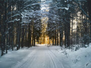 Benessere invernale: come mantenersi sani quando il sole è limitato