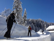 Vacanze invernali a Eirl Dolomites Retreat Sappada, attività outdoor per tutti i target