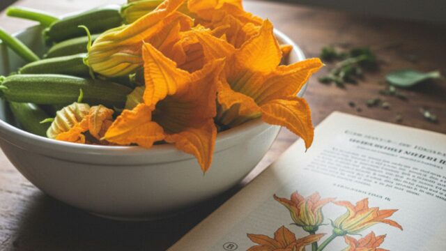 Ricetta fiori di zucca