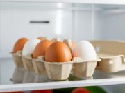Come conservare le uova in casa per evitare la proliferazione batterica (Guida Sicurezza) Uova fresche in un cartone ecosostenibile sul ripiano centrale del frigorifero
