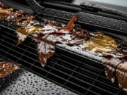 Acqua sotto i tappetini dell’auto: l’errore delle foglie secche che brucia la centralina Griglia dei tergicristalli intasata da foglie secche con acqua piovana stagnante.