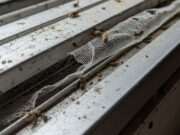 Pulizia zanzariere: l’errore con i detersivi che scioglie la rete Dettaglio ravvicinato di una guida per zanzariera in alluminio sporca e incrostata con rete rovinata.
