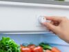 Il frigo d’estate consuma più luce e rovina il cibo: l’errore del termostato che nessuno controlla Mano che regola la manopola del termostato interno di un frigorifero aperto con verdure fresche sui ripiani