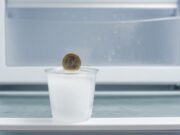 Blackout da caldo record: il trucco della moneta nel freezer che svela se i surgelati sono salvi Bicchiere di plastica trasparente con ghiaccio e moneta da 1 euro in superficie all'interno di un freezer aperto