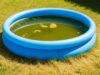 Piscina gonfiabile lasciata piena col caldo: l’errore che trasforma l’acqua in un brodo in pochi giorni Piscina gonfiabile da giardino con acqua torbida e verdastra sotto il sole, circondata da prato ingiallito