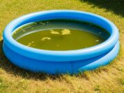 Piscina gonfiabile lasciata piena col caldo: l’errore che trasforma l’acqua in un brodo in pochi giorni Piscina gonfiabile da giardino con acqua torbida e verdastra sotto il sole, circondata da prato ingiallito