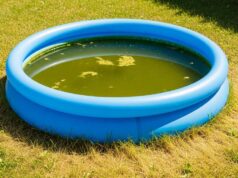 Piscina gonfiabile lasciata piena col caldo: l’errore che trasforma l’acqua in un brodo in pochi giorni Piscina gonfiabile da giardino con acqua torbida e verdastra sotto il sole, circondata da prato ingiallito