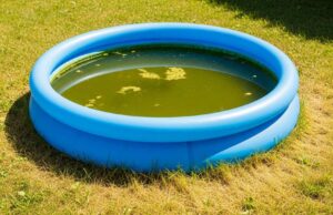 Piscina gonfiabile lasciata piena col caldo: l’errore che trasforma l’acqua in un brodo in pochi giorni Piscina gonfiabile da giardino con acqua torbida e verdastra sotto il sole, circondata da prato ingiallito