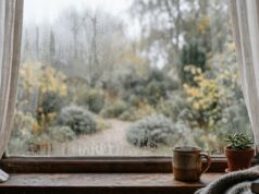 Finestre chiuse al primo freddo: l’errore mattutino che riempie casa di condensa in autunno Vetro di una finestra appannato dalla condensa interna in una mattina d'autunno, con tazza fumante e pianta sul davanzale