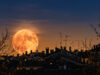 Luna del Cacciatore 2026: il 26 ottobre sembra enorme, non è come pensi Luna del Cacciatore gigante e arancione che sorge dietro i tetti di un centro storico italiano al tramonto